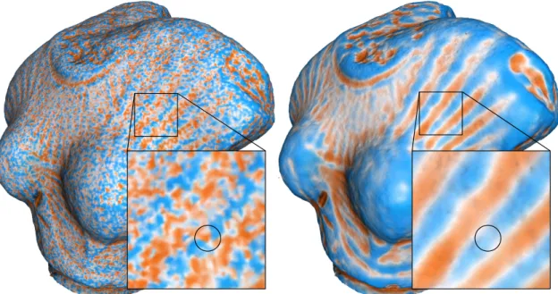 Figure 1.2: Introduction to feature extraction on an acquired 3D object.