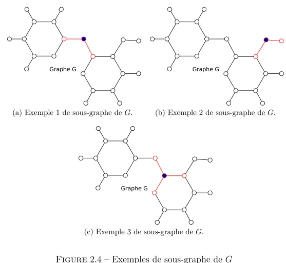 Figure 2.4 – Exemples de sous-graphe de G Definition 22. On dé fi nit x¯ v comme la moyenne des α (a,b) de G v .