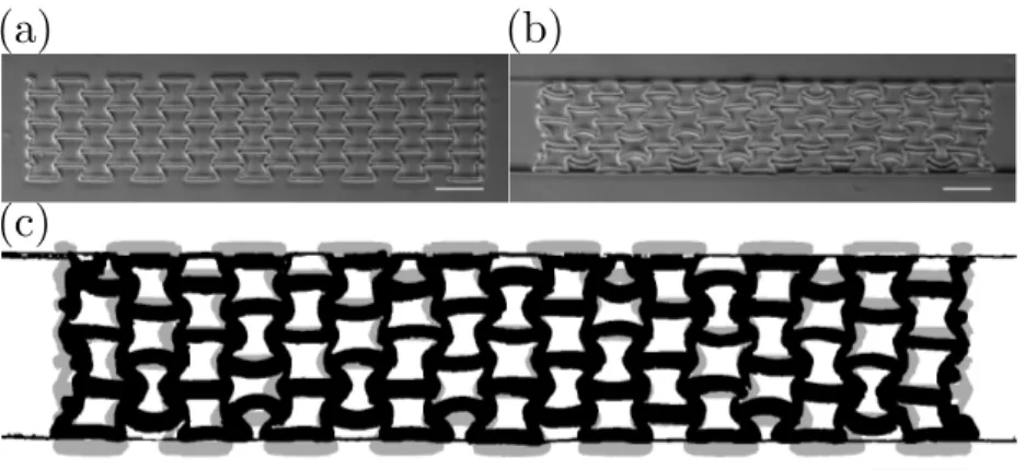 Figure 6. Auxetic metamaterial fabricated from a solution of 90% PEG-DA M n = 700 g/mol and 10% photo-initiator in volume