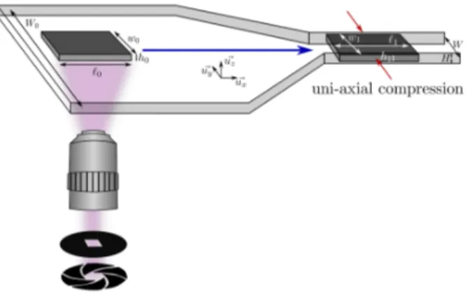 Figure 1. In situ fabrication of a particle using a microscope-based projection lithography technique.