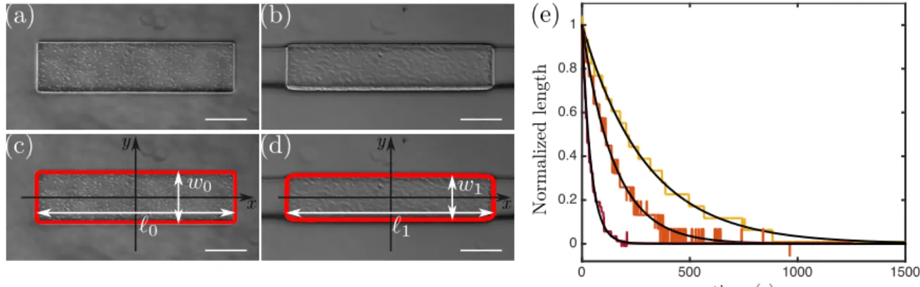 Figure 2. Pictures of the slab in the wide (a,c) and in the narrow (b,d) part of the channel