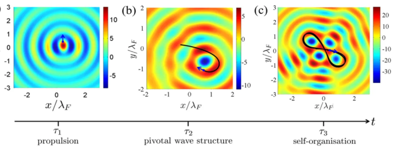 Figure 1. Typical example of a walker dynamics in a harmonic potential (here ω π = Hz