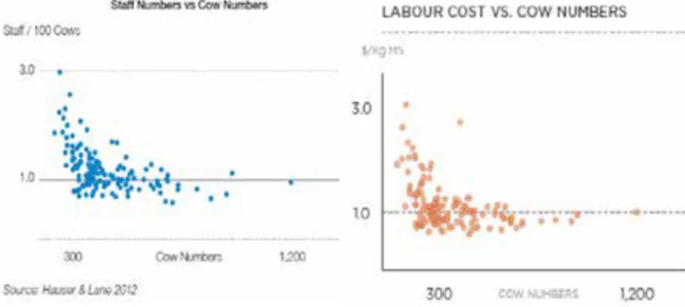 Figure 2: Dairy farm labour productivity and costs in Australia (Dairy Australia; 