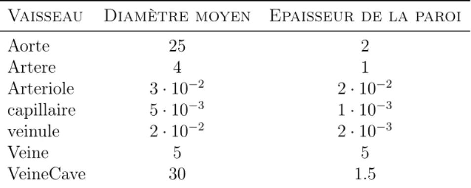 Table 6: Tailles charactéristiques des différents types de vaisseaux sanguins (mm). http://collettemathieu.blog.lemonde.fr/category/cours-sur-la-rigidite-arterielle/