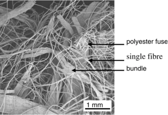 Fig. 1. SEM image of wood ﬁbreboard. The wood bundles and ﬁbres are connected by the thin polyester bonds.