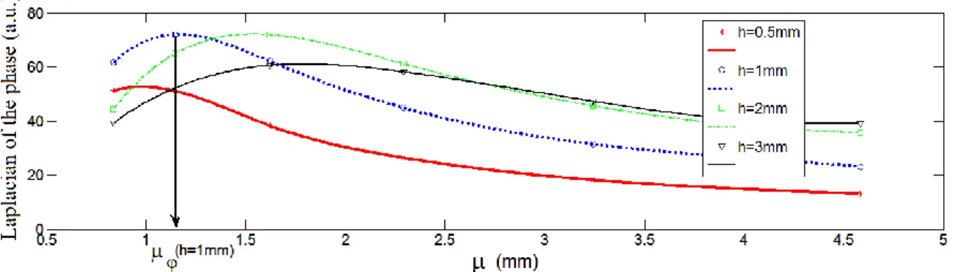 Figure 4: simulated  Λ     i and  polynomial fits at the pixel P (d(x,y)=d 0 ) for different depths h