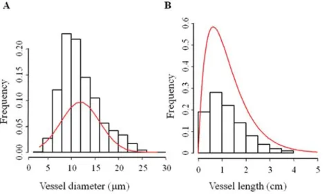 Table 1.  Intervessel pit morphology of A. thaliana infloresence  stem. Transverse sections of stems were observed under TEM  and bordered pit characteristics and double intervessel wall  thickness measured with image analysis