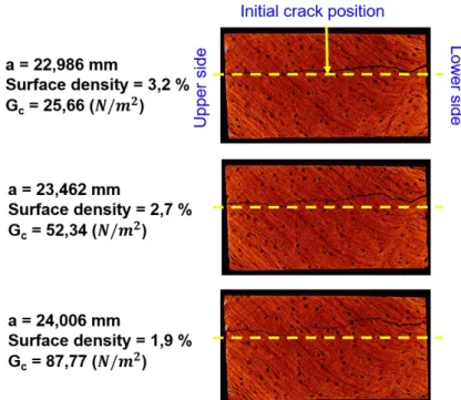 Figure 4. Crack growth path according to surface density of Padouk sample: 2D Cross sectional images  extracted from 3D volume of Padouk P1 sample