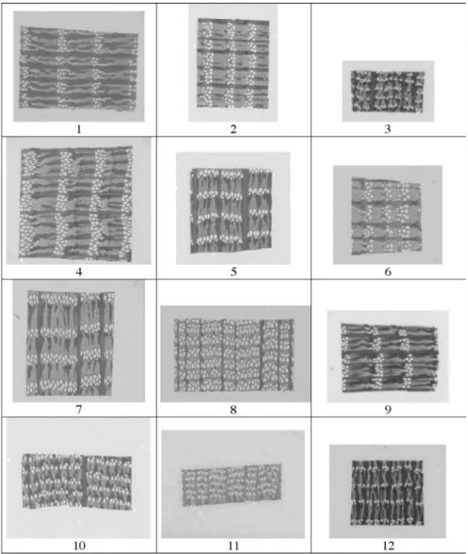 Fig. 10. X-ray images of the twelve samples. The grey levels range from 0 (darkest parts corre- corre-spond to a high X-ray attenuation; i.e