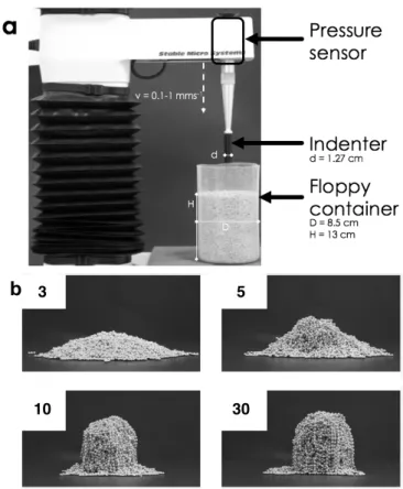 FIG. 1. (a) Description of the experimental setup (see main text for details). (b) Snapshots showing the final states of dense (Φ = 1) granular chain assemblies after the removal of their cylindrical container, for various numbers N of beads per chain as i