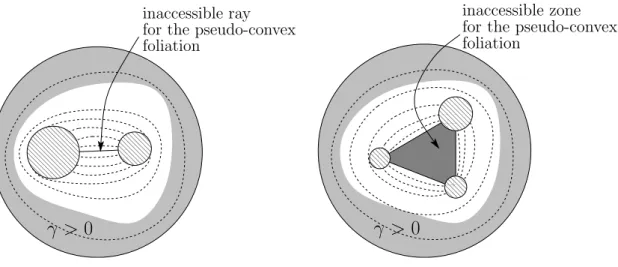 Figure 6: Two examples of disks with holes and associated attempts to draw a suitable pseudo-convex foliation covering the whole domain