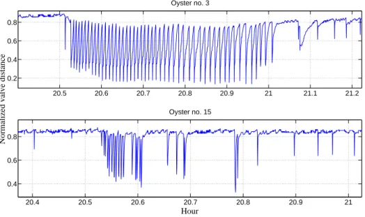 Figure 3.2: Behavior of oyster N° 3 and 15 (zoomed)
