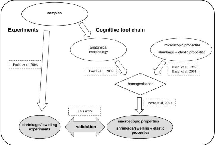 Fig. 1 Principle of homogenisation: this paper is devoted to the experimental validation of the cognitive model