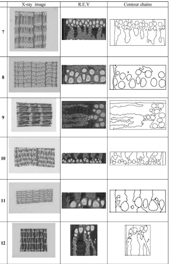 Fig. 5 X-ray image of samples 7 to 12, Representative Elementary Volume (R.E.V.) and contour chains resulting from image segmentation