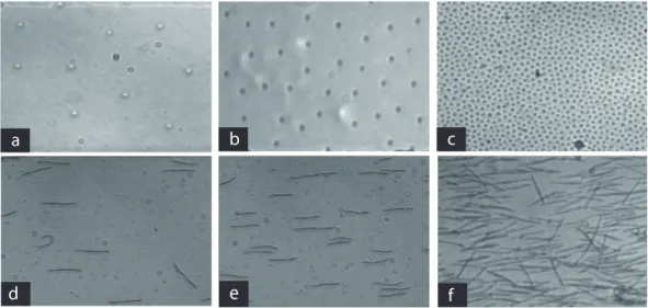 Figure 9. Variations of fiber concentration with the initial volume fraction of colloids in a given channel.