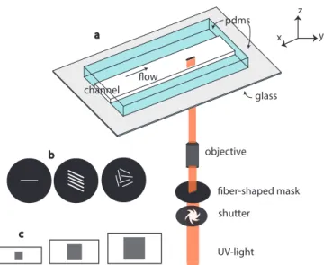 Figure 1. (a) Schematic drawing of the in situ fiber fabrication technique, using a microscope-based projection lithography technique