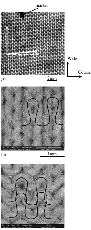 Fig. 4: Structure of the Jersey knitting cotton ready-to-wear clothing: Image obtained by x-ray  attenuation (a)