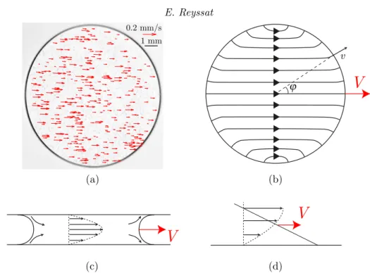 Figure 2. Stream lines in a drop sliding between two parallel plates. (a) Velocities of a number of 50 µm diameter polyamide particles suspended in a drop of silicone oil in a 1 mm thick Hele-Shaw cell