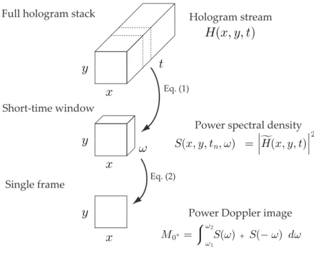 Fig. 2. Short-Time Fourier Transform analysis. A 3D sliding window of consecutive holograms is moved along the full hologram stack; for each window, the Doppler Power Spectral Density (DPSD) is estimated from the squared magnitude of the Fourier Transform 