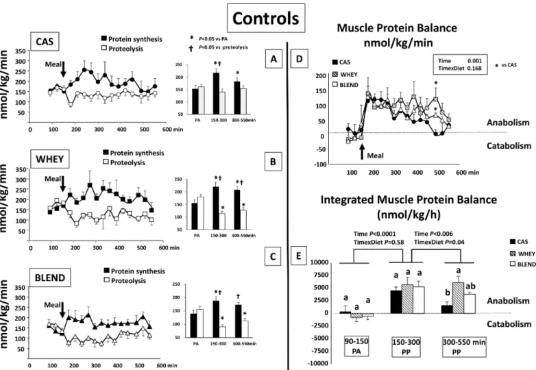 Fig 4. Control mini pigs: Muscle protein synthesis, proteolysis with means values for the period of time t = 90–150 (PA); t = 150–300 and t = 300–550 min (left panel) and muscle protein balance (right panel) in control mini pigs receiving either CAS,WHEY o