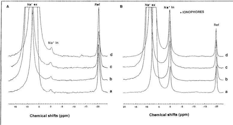 FIG. 2. Intracellular sodium concentrations ( } ) measured by in vivo 23 Na NMR and calculated corresponding ⌬pNa ( E )