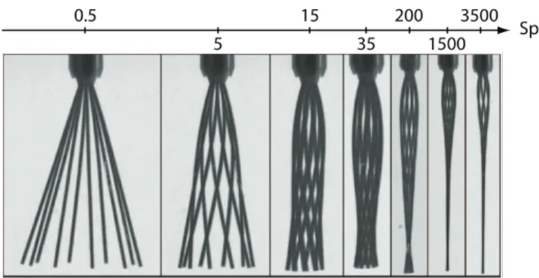 Figure 4. Evolution of the filament shape as a function of Sp. Each picture is a superposition of snapshots taken over one rotation period, with a constant time interval