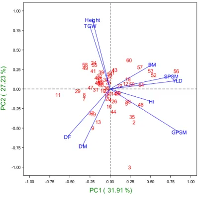Figure 1. Principal component analysis  (PCA) of agronomic traits yield under  irrigated conditions of CIMCOG-INIFAP  trial evaluated across six INIFAP 