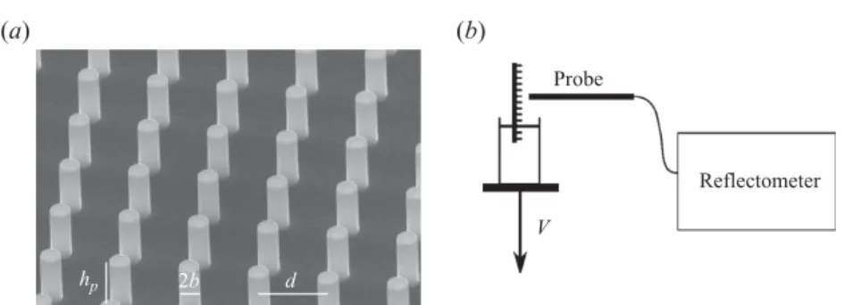 Figure 1. (a) Textured silicon surfaces obtained by etching silicon wafers and seen here by electron microscopy