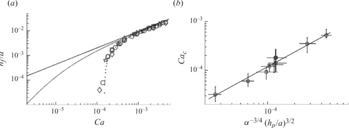 Figure 7. Influence of the flow inside the trapped layer: (a ) thickness h f = h d − h p of the free film (data and symbols of figure 2), as a function of the capillary number