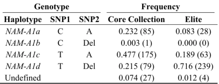 Table 1. No Apical Meristem (NAM)-A1 haplotype frequencies in two collections of bread  wheat genotypes