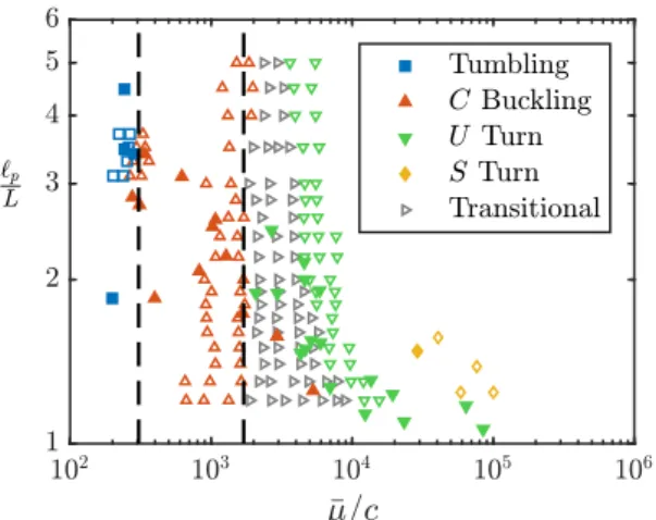 FIG. 4. Phase chart indicating the different dynamical regimes in the (¯ µ/c, ` p /L) parameter space