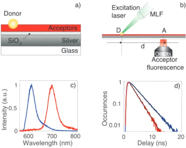 FIG. 1. a) Sketch of the sample. b) Scheme of the experimen- experimen-tal setup. MLF: micro-lensed fiber, D: donor, A: acceptor