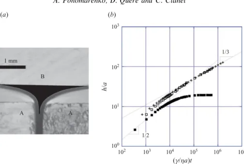 Figure 5. (a) Device used to study the capillary rise in a complex submillimetric geometry, where a central channel coexists with three corners (black region)