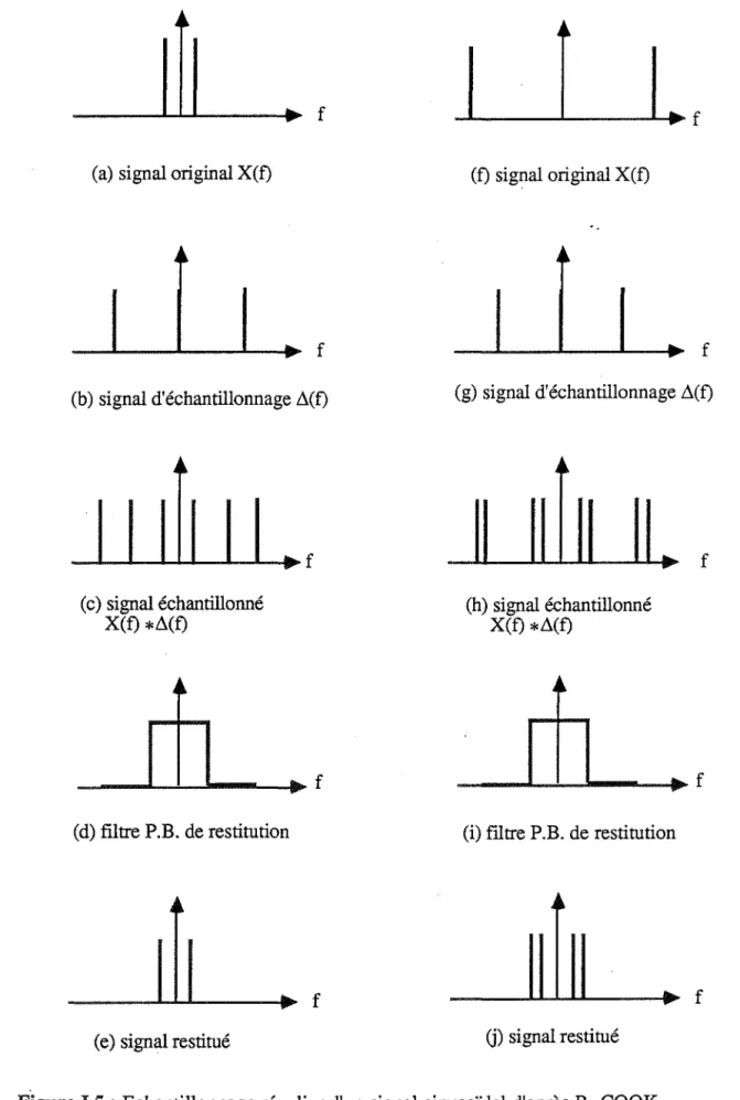 Figure I.S: Echantillonnage régulier d'un  signal sinusoïdal d'après R.  COOK. 