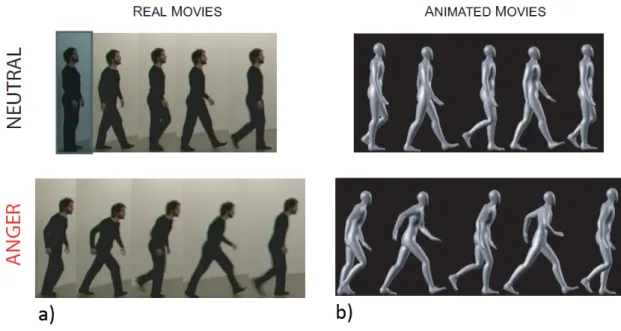 Figure 1.3: Snapshots of video-recording and motion-capture movies illustrating the neutral and angry gaits