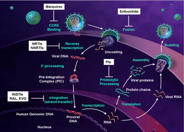 Figure 15: Overview of present treatment options (McColl and Chen, 2010). 