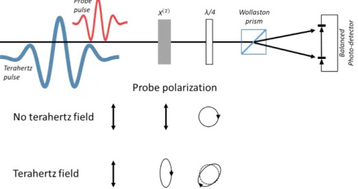 Figure II.2: Details of a free-space terahertz detection using a χ (2) susceptibility crystal.