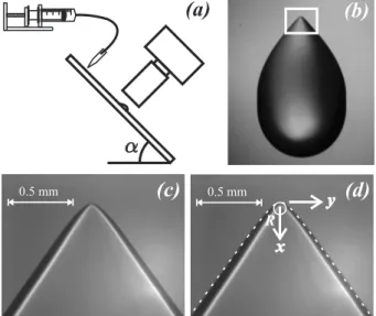 FIG. 1: (a) Sketch of the experimental set-up. Partially wet- wet-ting silicone oil drops slide down an inclined plane with  con-stant velocity