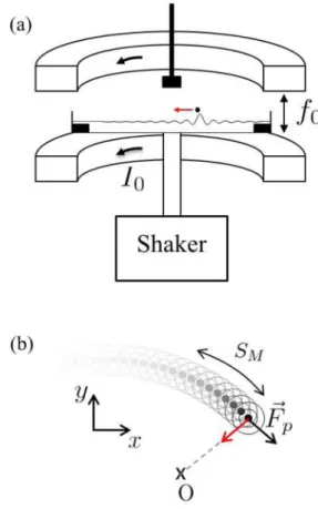 FIG. 1. (Color online) Sketch of the experimental setup. (a) A bath of silicon oil is set on a vertically oscillatory motion at a frequency f 0 = 80 Hz