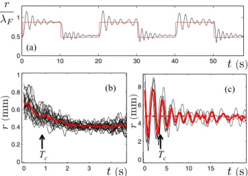 FIG. 3. (Color online) Experimental characterization of the tran- tran-sient behavior