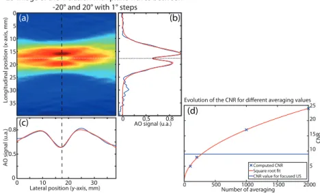 Fig. 6. (a) AO image using plane waves ranging from −20 ◦ to +20 ◦ with 1 ◦ steps. (b) vertical profile along the black dashed line