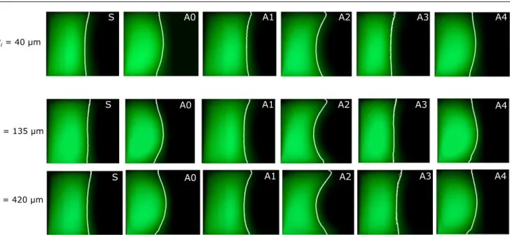 Fig. 6 Top row: Evolution of the cross-sectional view down the channel for the polymeric solution flown at De ∗ = 0.86 in the channel used for the µPIV experiments: the white line highlights the position of the interface, as obtained by adjusting the horiz