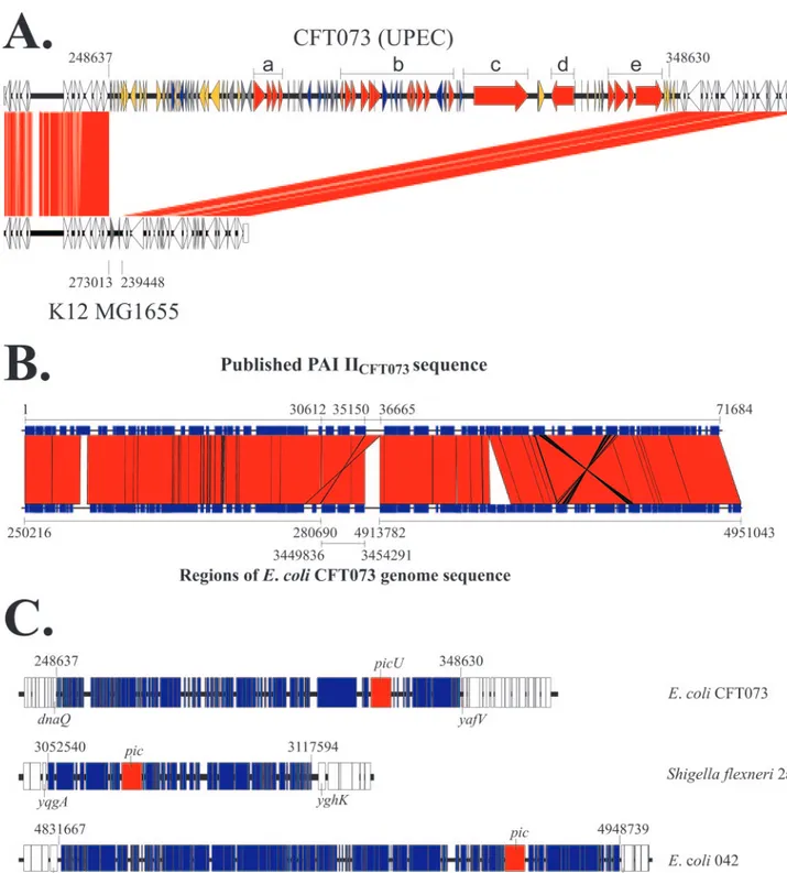 FIG. 1. Genetic organization of the PAI II CFT073 . (A) Comparison of the E. coli CFT073 PAI II CFT073 and flanking sequences with the equivalent region of E