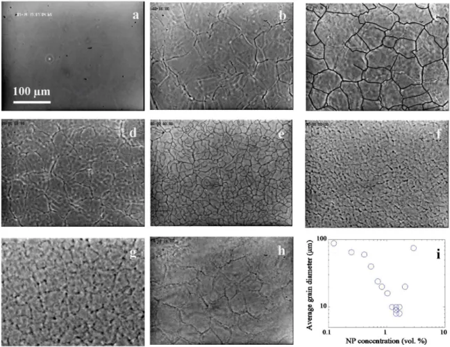 Figure 1. Observation by optical microscopy of samples at a micellar concentration of 15.2 vol