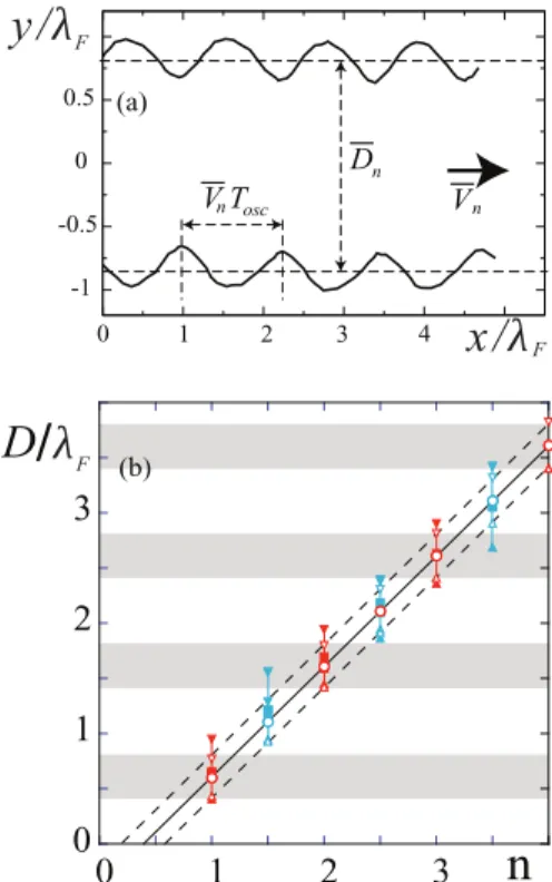FIG. 1. Photographs of the wave fields. (a) A single walker of velocity V 0 = 9 mm/s at a memory Me = 100