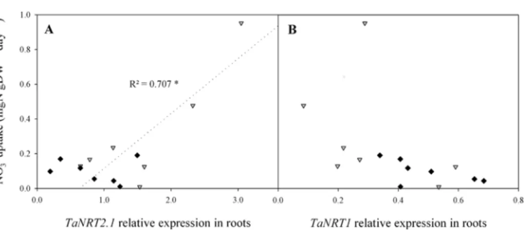 Fig 5. Relations between plant NO 3 -