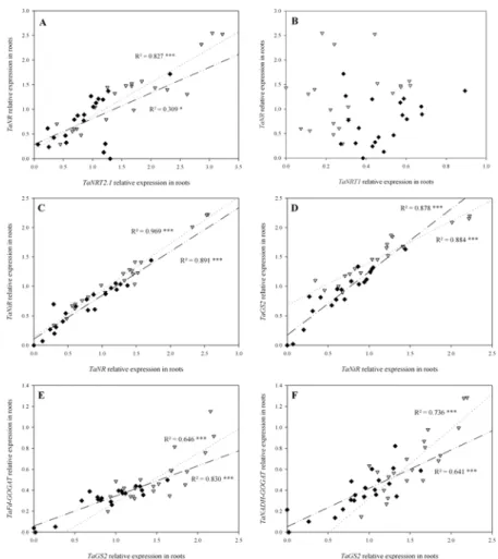 Fig 7. Correlations between relative expression patterns of the main genes involved in NO 3 - uptake, reduction and assimilation in roots from flowering (GS65) to GS65+800DD for two contrasting NO 3 