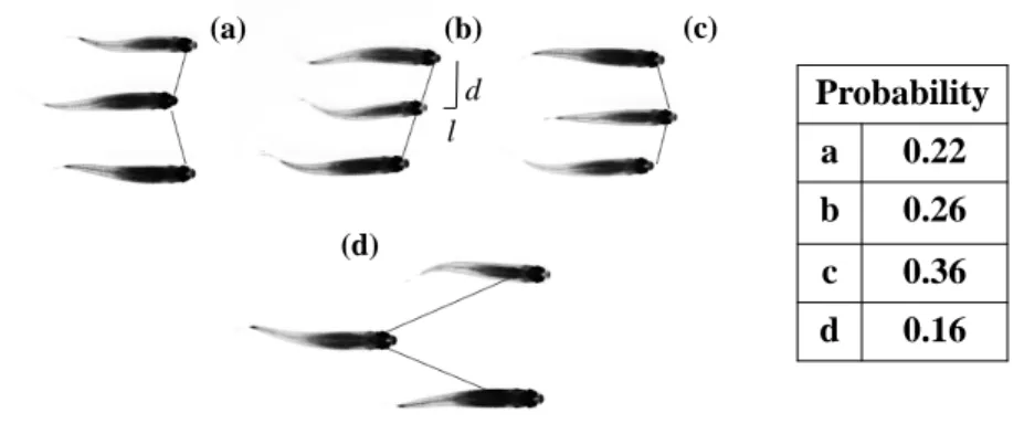 FIG. 6. Top row: Illustration of the three most probable swimming patterns for a three fish group of H