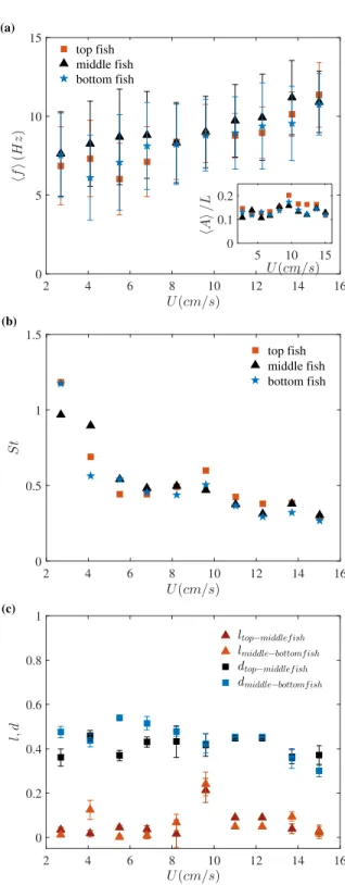 FIG. 7. (a) Averaged beating frequency for the three fish (top, middle, bottom) as a function of the swimming velocity averaged over the seven trio of individuals studied, and amplitude in the inset.