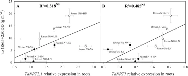 Fig 5. Relations between expression levels of genes coding for root nitrate transporters and N uptake from flowering to GS65+250 DD